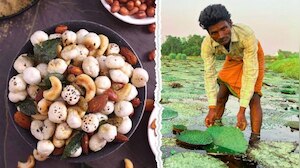 अब जम्मू में भी होगी मखाने की खेती! किसानों की चमकेगी किस्मत, जानिए कृषि विभाग का नया मास्टरप्लान...