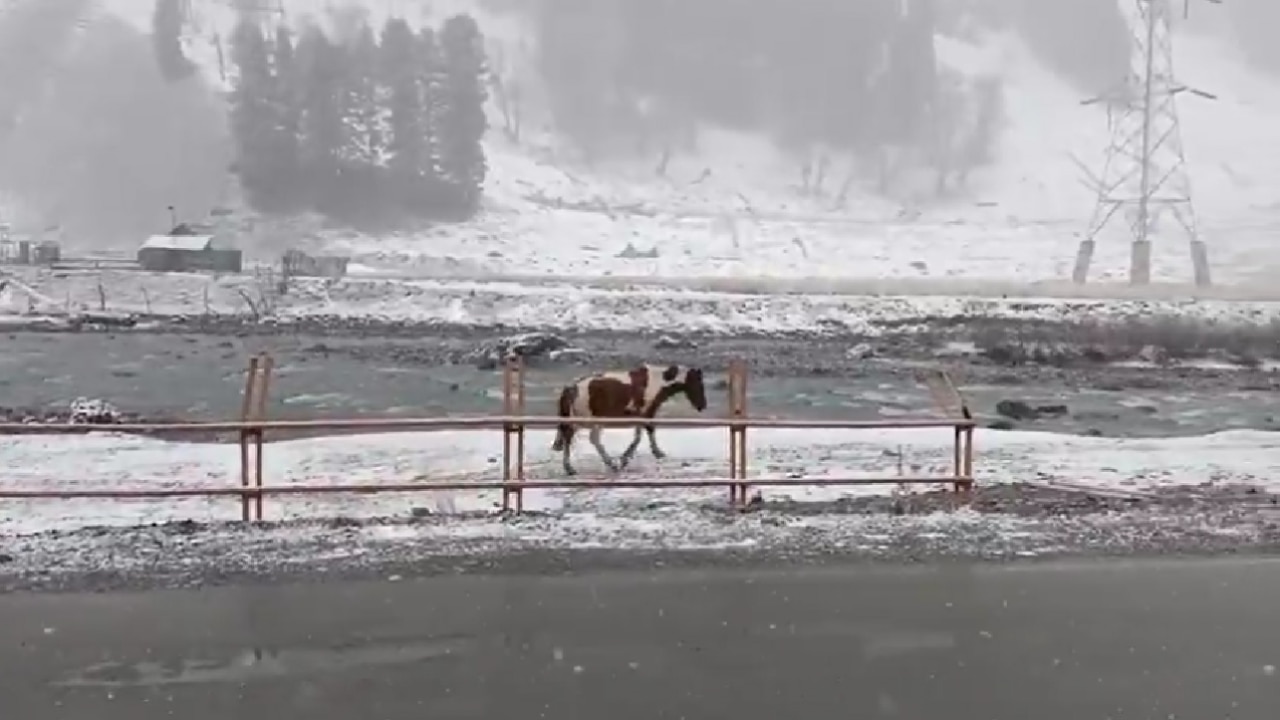 बीते दो दिनों से हो रही बर्फबारी