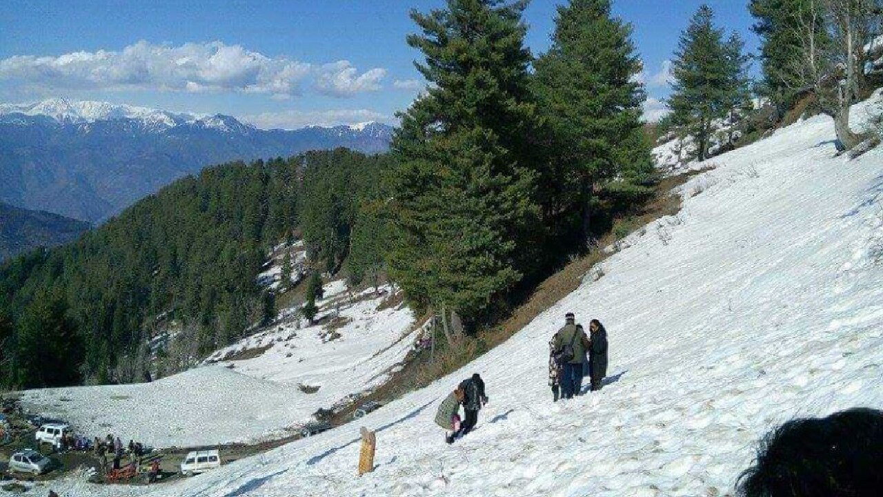 Snowfall on Patni Top : पटनीटॉप में बर्फ़बारी से बढ़ी रौनक़, बड़ी तादाद में पहुंच रहे टूरिस्ट !