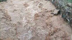 जम्मू-कश्मीर के पुंछ में कुदरत का कहर: मेंढर में अचानक आई बाढ़ से हाहाकार, 25 लोगों को सुरक्षित निकाला, फसल और मकान तबाह...