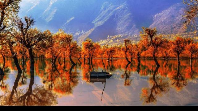 Wular Lake: मीठे पानी की सबसे बड़ी झील है वुलर लेक, मौसम के मुताबिक़ बदलता है साइज़