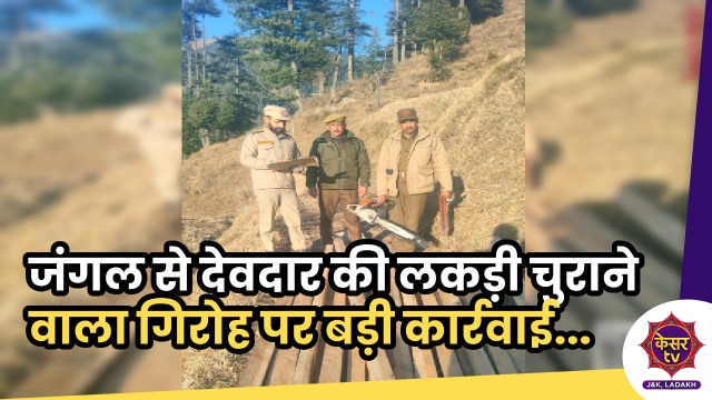 Wood Smuggler Arrested: ऊधमपुर के जंगलों से देवदार की लकड़ी चुराने वाला गिरोह पर बड़ी कार्रवाई...