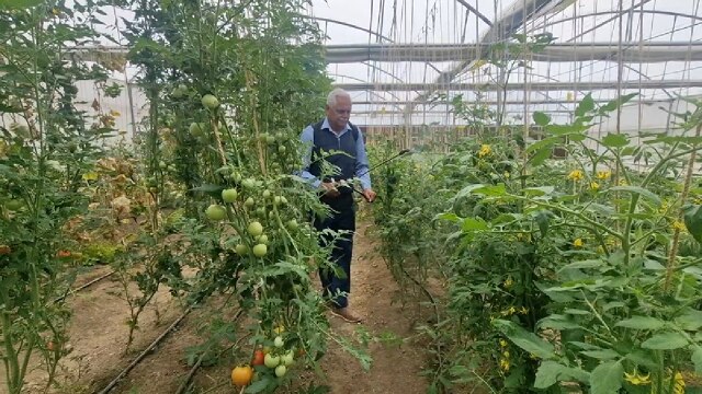 High-Tech Farming : केंद्र सरकार की योजनाओं का लाभ उठा रियासी के किसान कर रहे हाईटेक खेती!