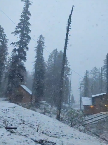 सोनमर्ग में बीते दो दिनों से जारी बर्फबारी ने बदले हालात...  
