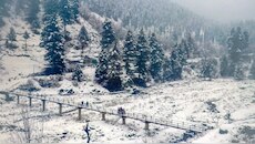 जम्मू-कश्मीर बना वंडरलैंड: गुलमर्ग से डोडा तक सीजन की पहली बर्फबारी में सब जन्नत...