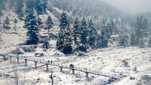 जम्मू-कश्मीर बना वंडरलैंड: गुलमर्ग से डोडा तक सीजन की पहली बर्फबारी में सब जन्नत...