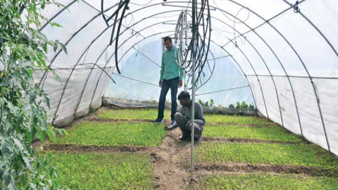 Agricultural Development : एग्रीकल्चर डेवलपमेन्ट प्रोग्राम से घाटी की किसानी में आर रहे बदलाव !