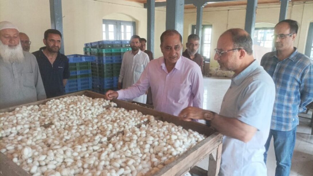 Agriculture Development : गांदरबल के रेशम किसानों को दी जा रही स्पेशल ट्रेनिंग...