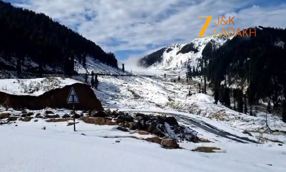 सरथल बना मिनी स्विट्जरलैंड! पहली बर्फबारी के बाद पहाड़ों पर फैली जन्नत जैसी सफेदी, बढ़ गई ठंड... सरथल बना मिनी स्विट्जरलैंड! पहली बर्फबारी के बाद पहाड़ों पर फैली जन्नत जैसी सफेदी, बढ़ गई ठंड...