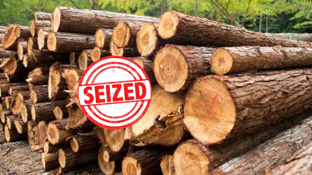 हंदवाड़ा : वन विभाग की बड़ी कार्रवाई, लाखों की अवैध लकड़ी जब्त, FIR दर्ज हंदवाड़ा : वन विभाग की बड़ी कार्रवाई, लाखों की अवैध लकड़ी जब्त, FIR दर्ज