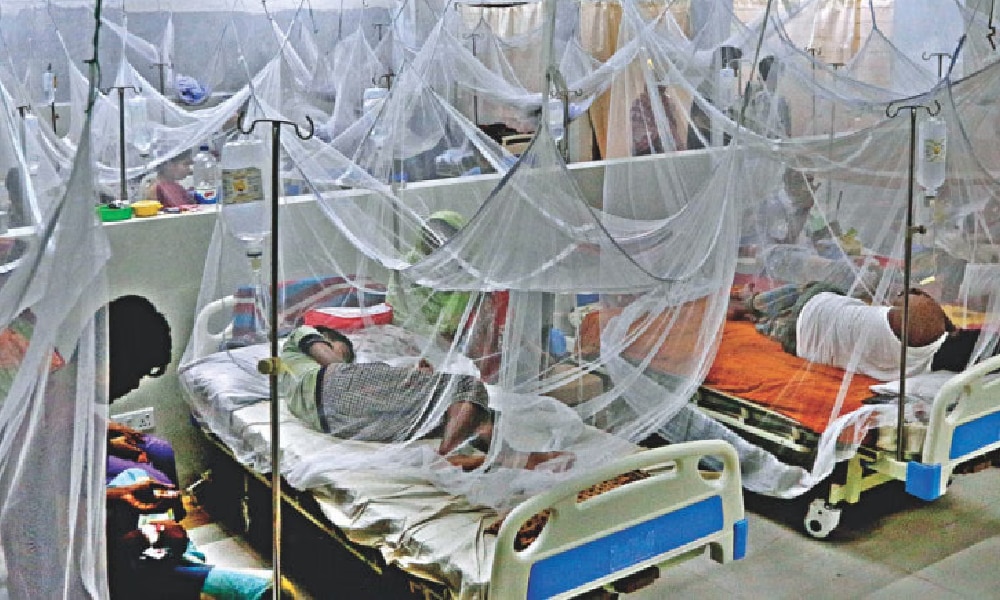 जम्मू-कश्मीर के कठुआ में डेंगू का विस्फोट! एक दिन में सामने आए 26 नए मामले, स्वास्थ्य विभाग की उड़ी नींद... जम्मू-कश्मीर के कठुआ में डेंगू का विस्फोट! एक दिन में सामने आए 26 नए मामले, स्वास्थ्य विभाग की उड़ी नींद...