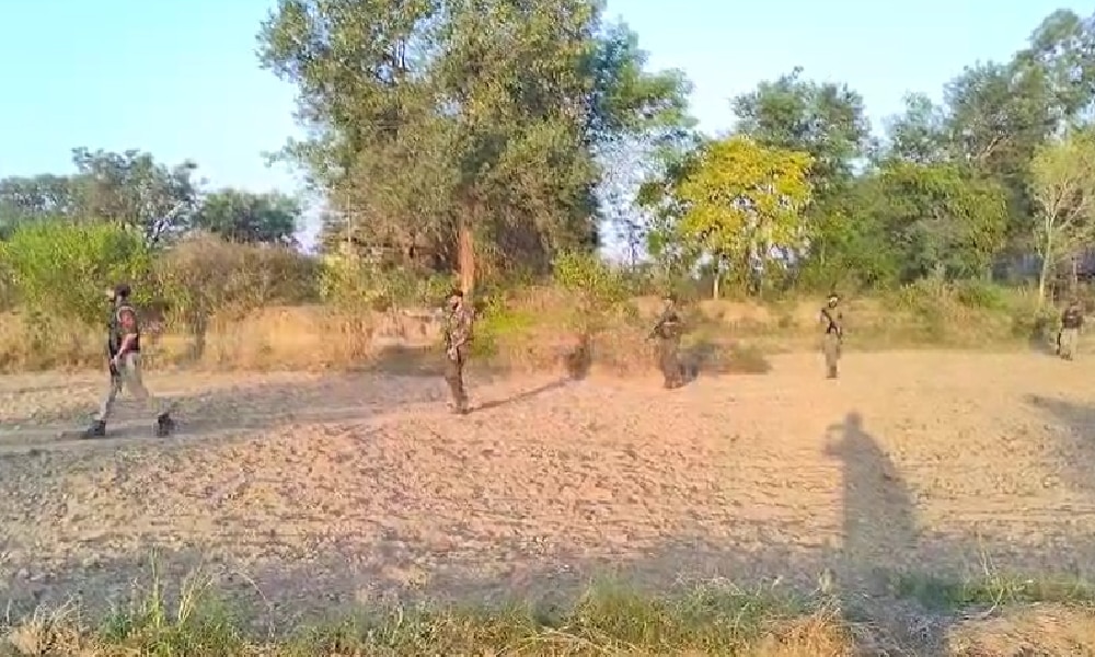 Breaking News :  सांबा बॉर्डर पर दिखी हलचल! SOG और पुलिस ने शुरू किया बड़ा सर्च ऑपरेशन, पाकिस्तान की हरकतों पर सख्त नजर...